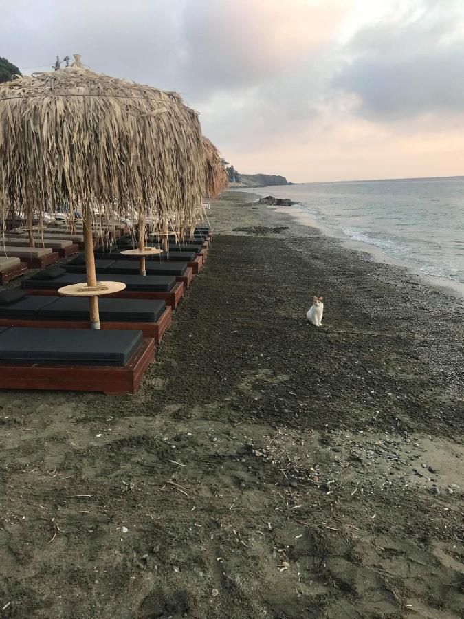 La Playa Boutique Apartments Myrties Zewnętrze zdjęcie